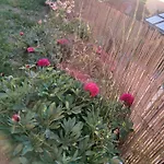 La Halte Verte Nassogne