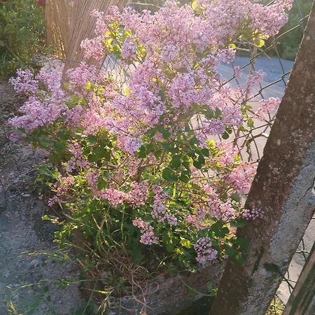 La Halte Verte 펜션