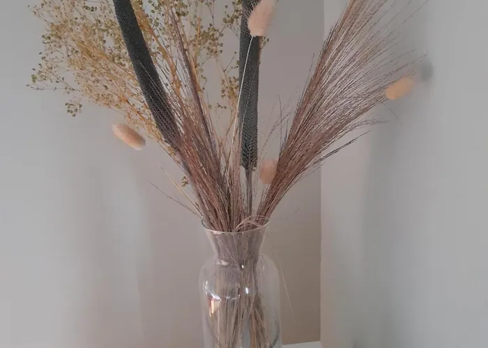 Nyaraló La Halte Verte *