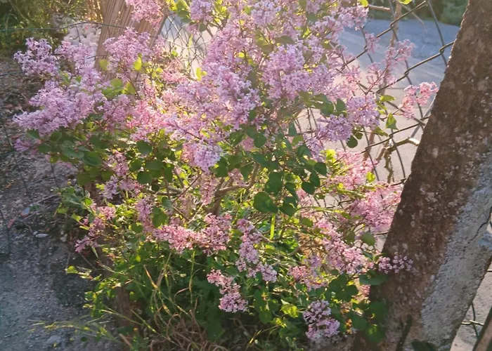 La Halte Verte Nyaraló