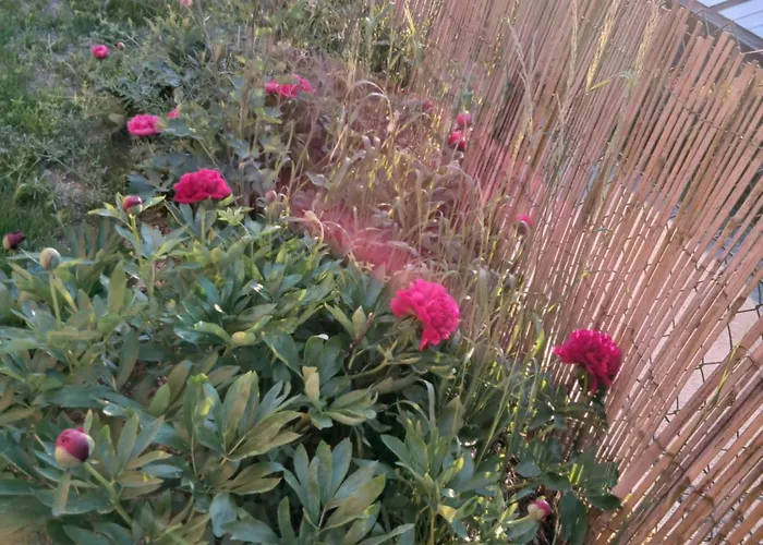 La Halte Verte Nassogne