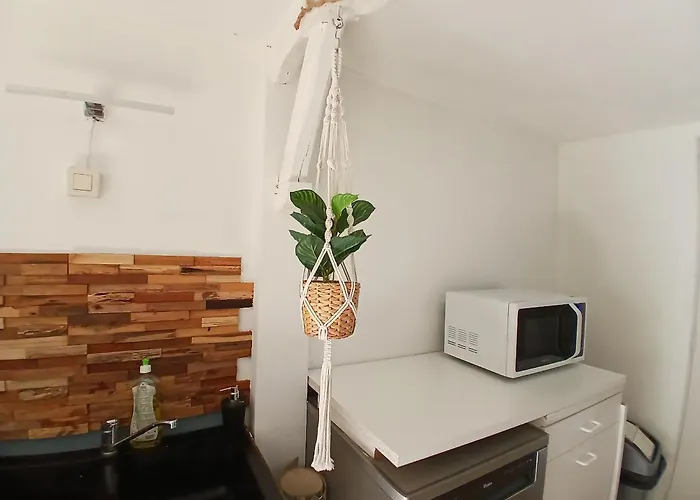 La Halte Verte Nassogne